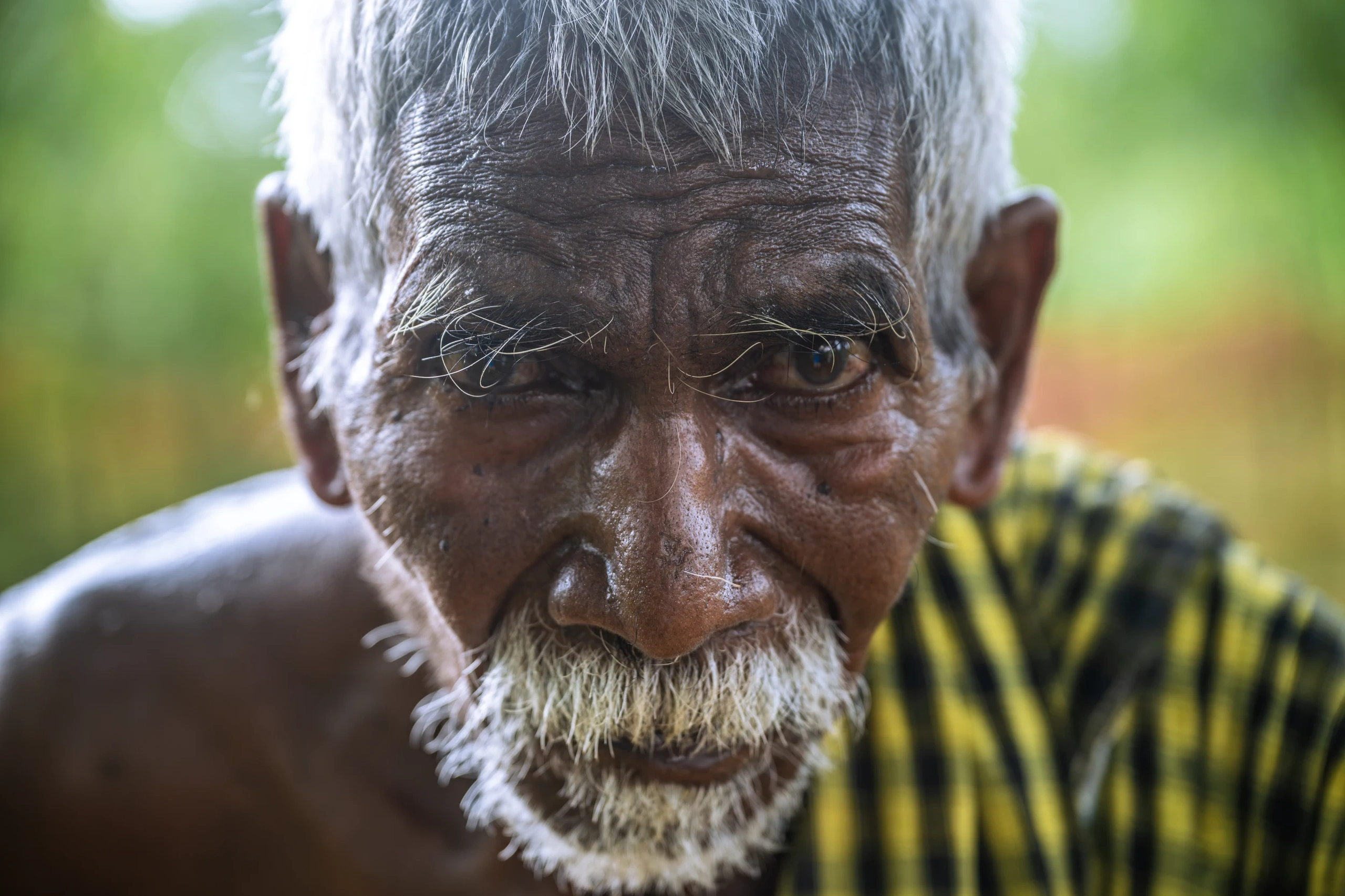 FACES OF THE ORDINARY