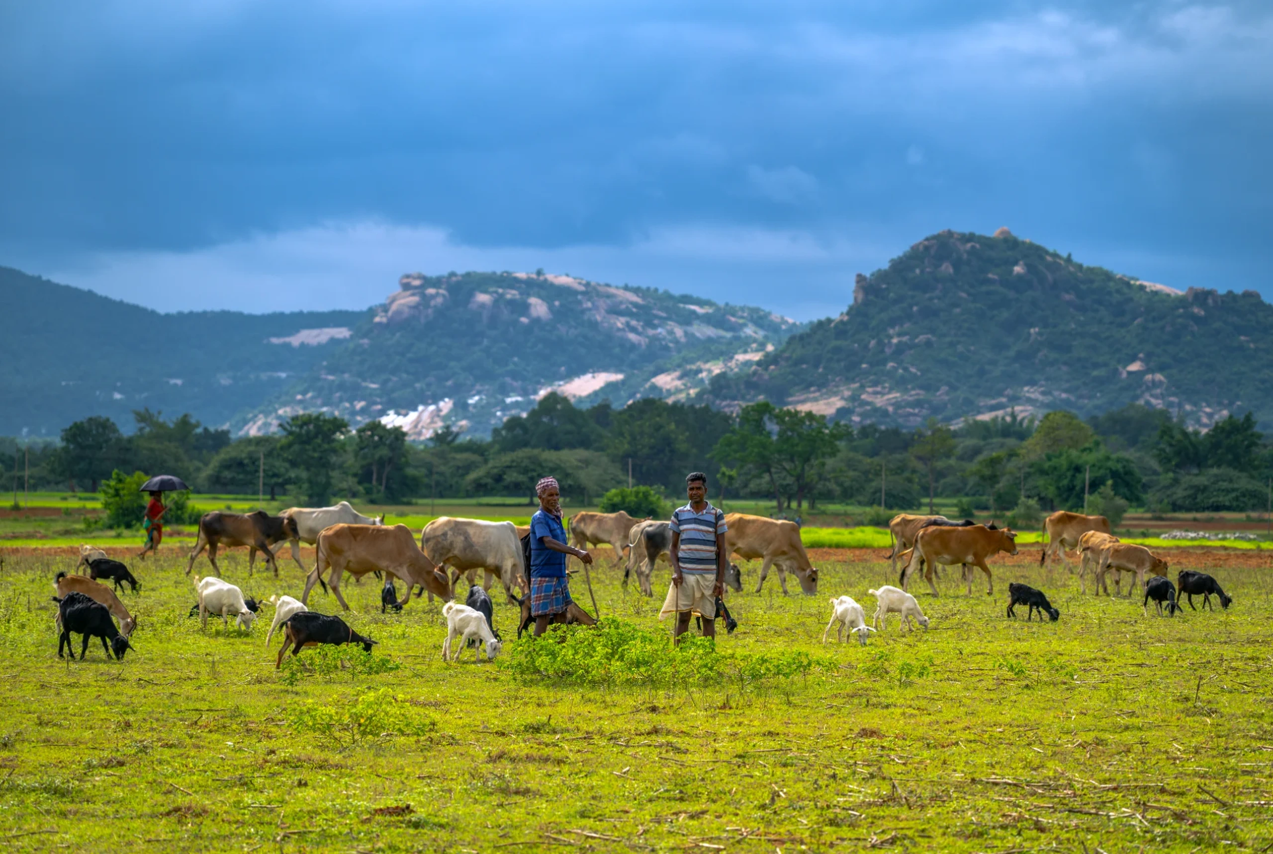 STORIES OF THE EVERYDAY